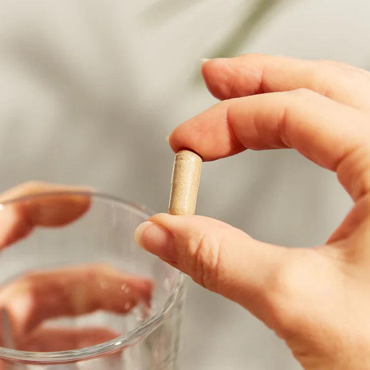 Solgar Milk Thistle Vegetable Capsules